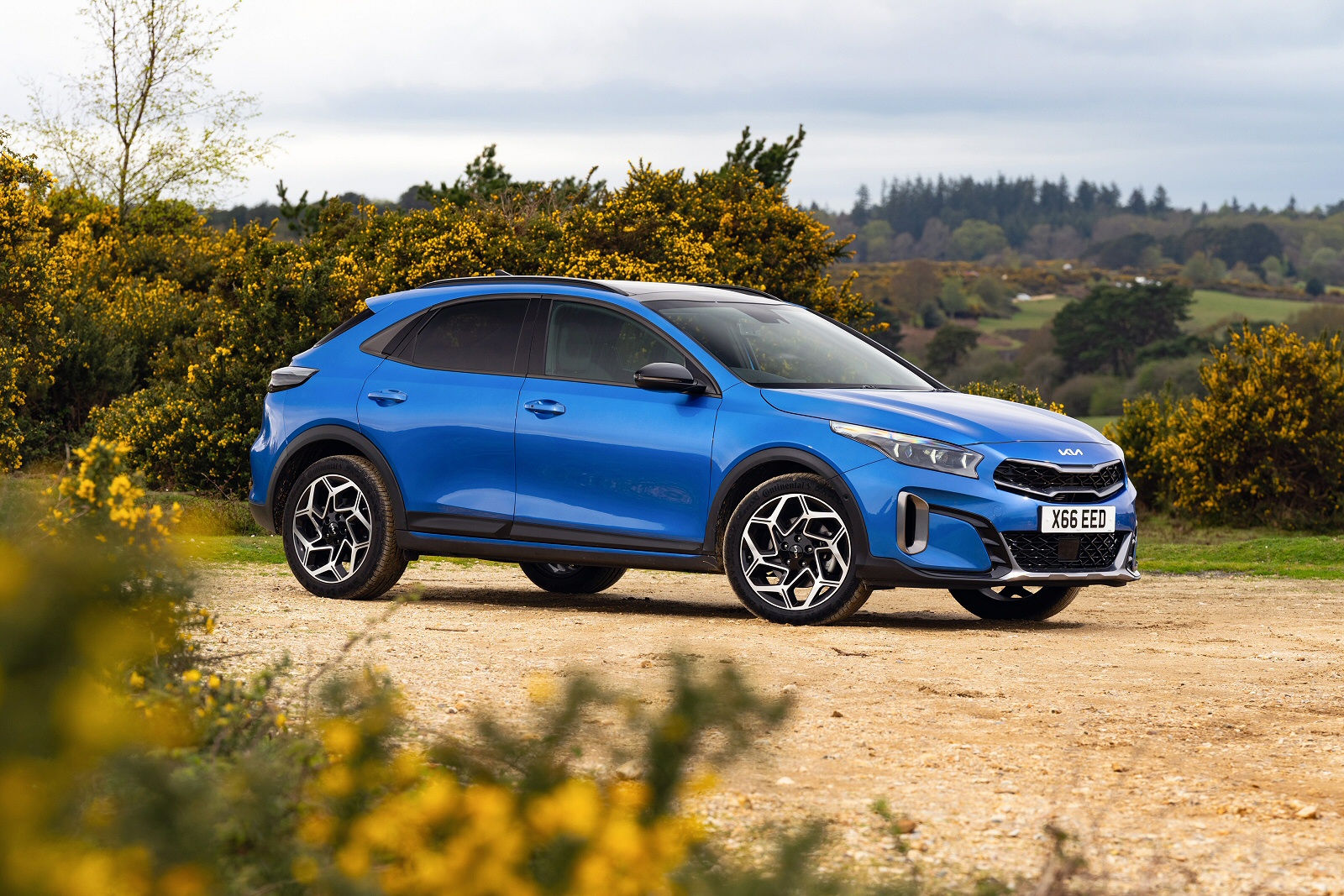 New Kia XCeed + Review - Image 1
