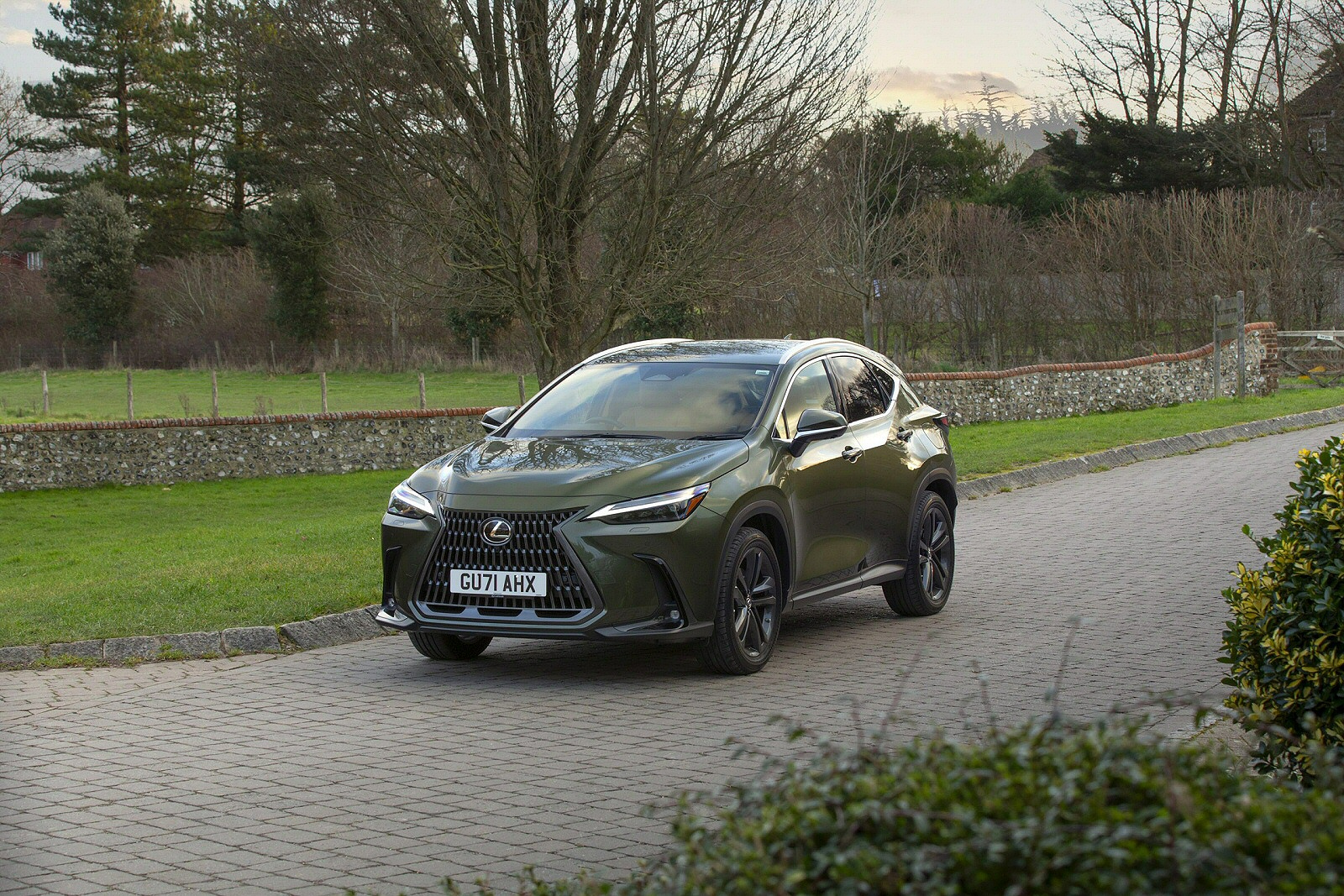 New Lexus NX + Review - Image 1