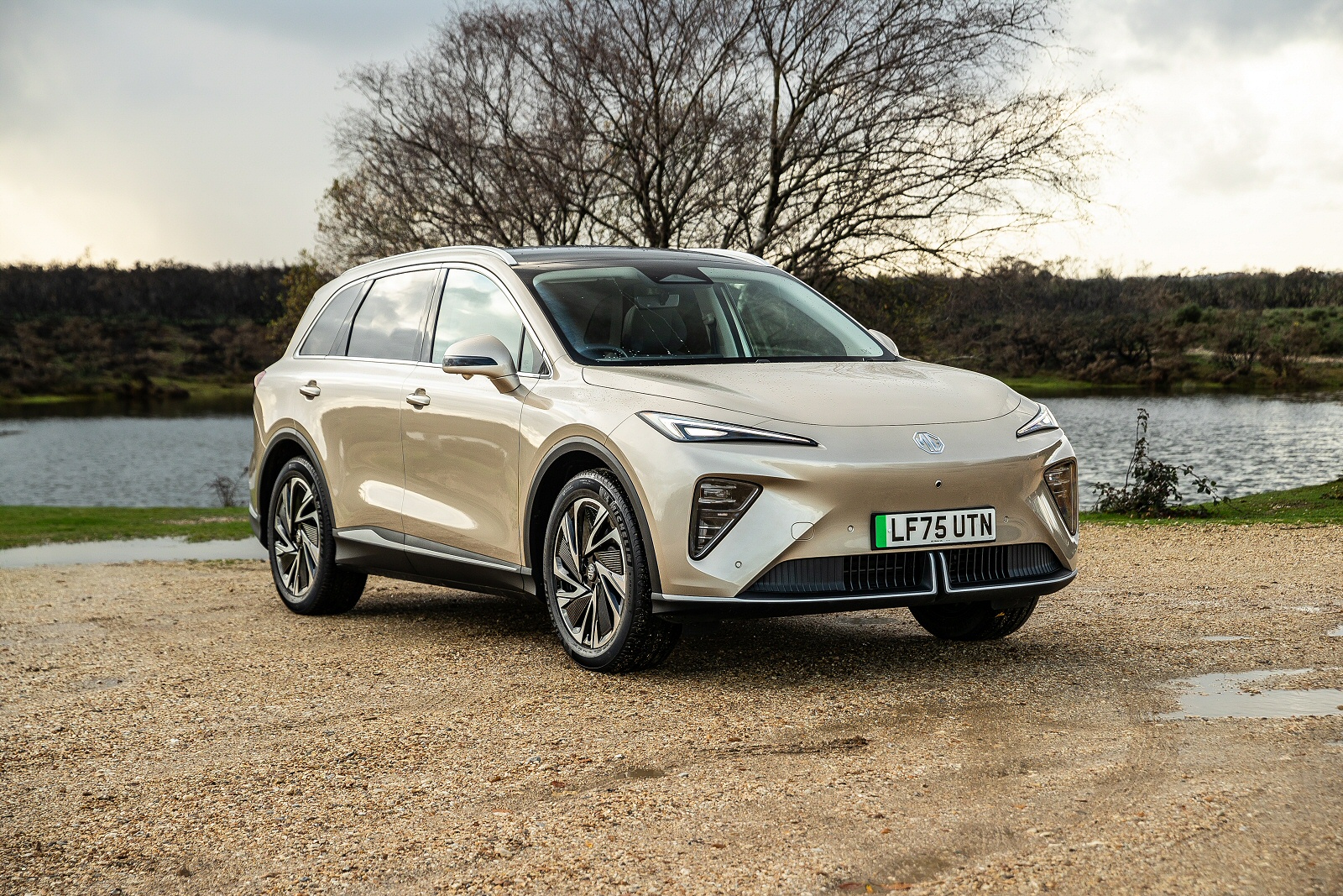 New MGS6 EV + Review - Image 1