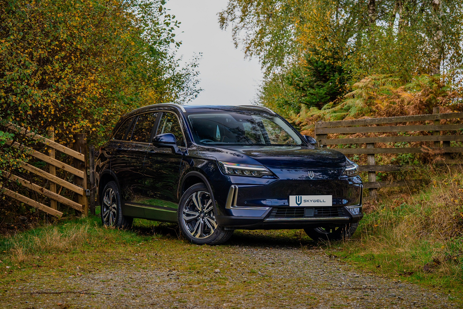 New Skywell BE11 + Review - Image 1