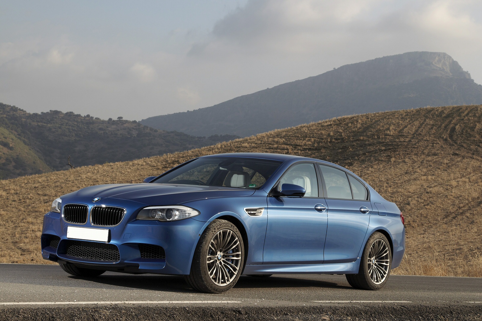 Used BMW M5 (2011 - 2017) + Guide - Image 1