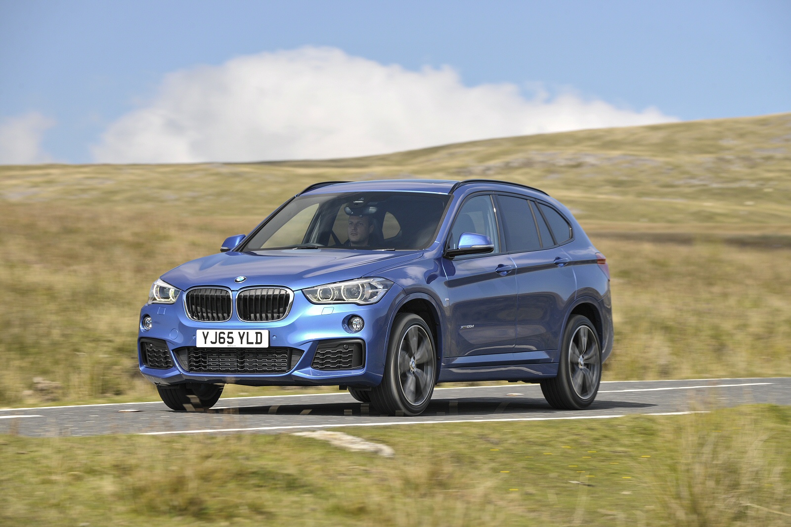 Used BMW X1 [F48] (2015 - 2019) + Guide - Image 1
