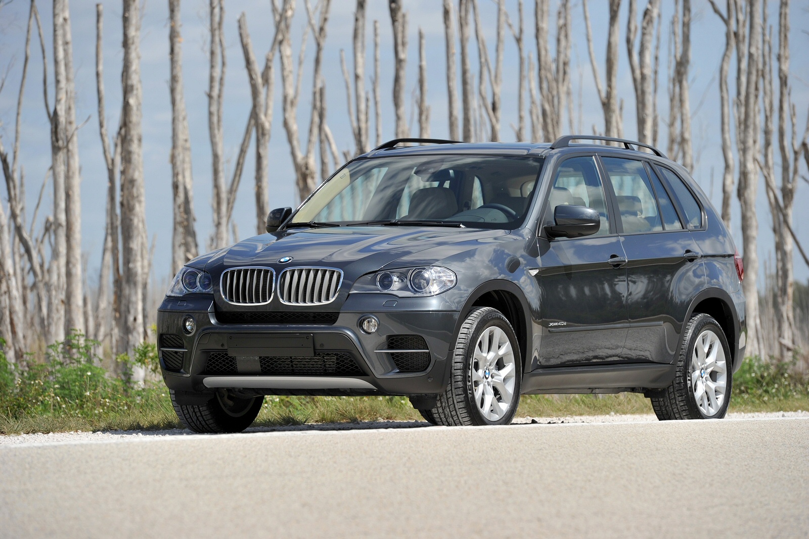 Used BMW X5 (2010 - 2013) + Guide - Image 1