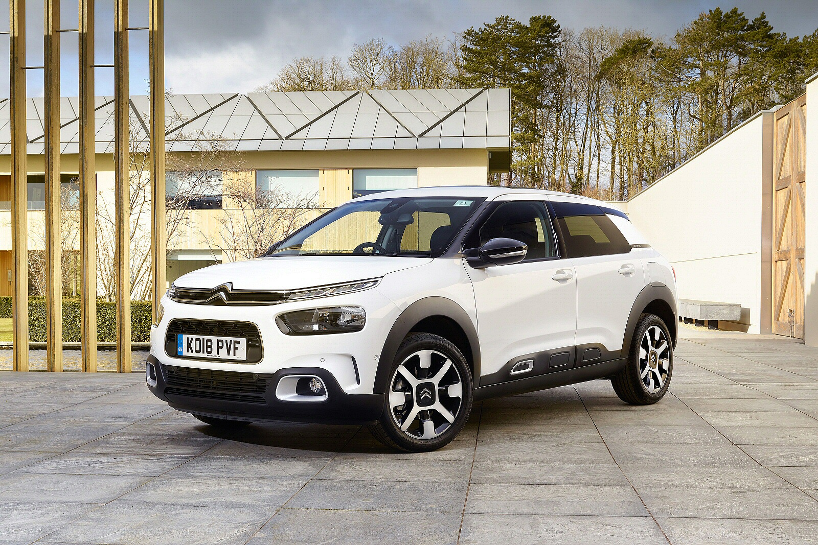 Used Citroen C4 Cactus (2018 - 2020) + Guide - Image 1