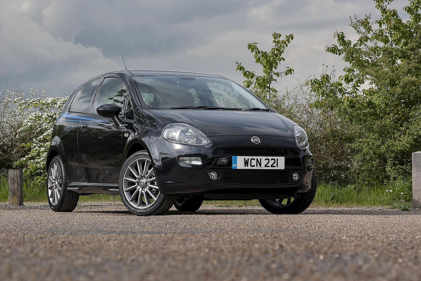 Used Fiat Punto (2012 - 2018) + Guide - Image 1