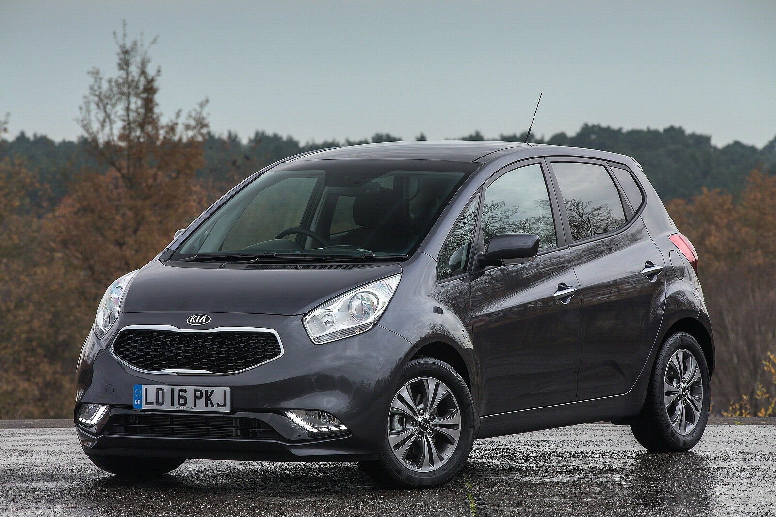 Used Kia Venga (2009 - 2019) + Guide - Image 1