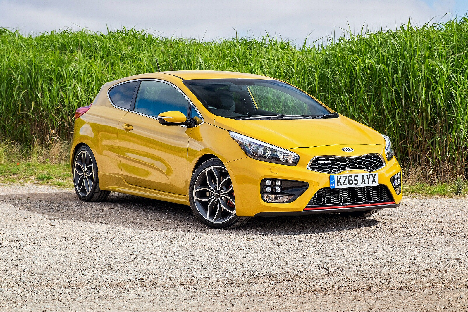 Used Kia pro_cee'd GT (2012 - 2018) + Guide - Image 1