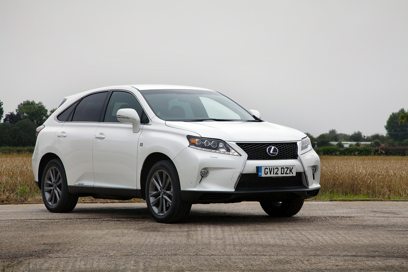 Used Lexus RX 450h (2012 - 2015) + Guide - Image 1