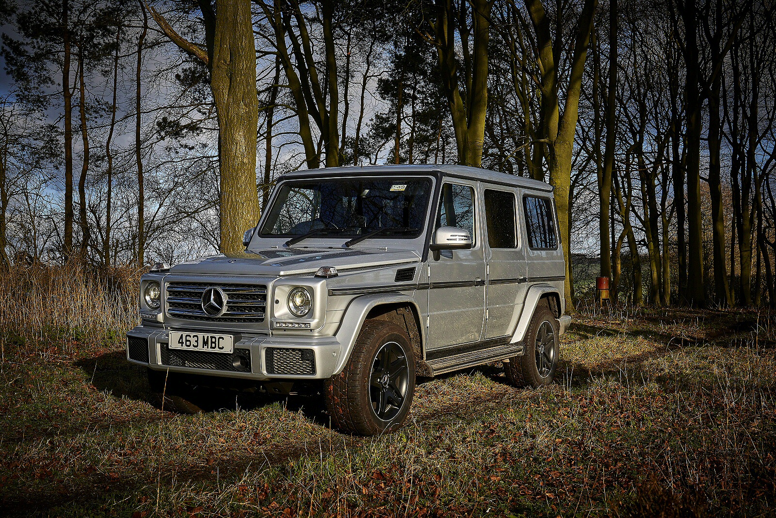Used Mercedes-Benz G-Class [W463A] (2018 - 2020) + Guide - Image 1