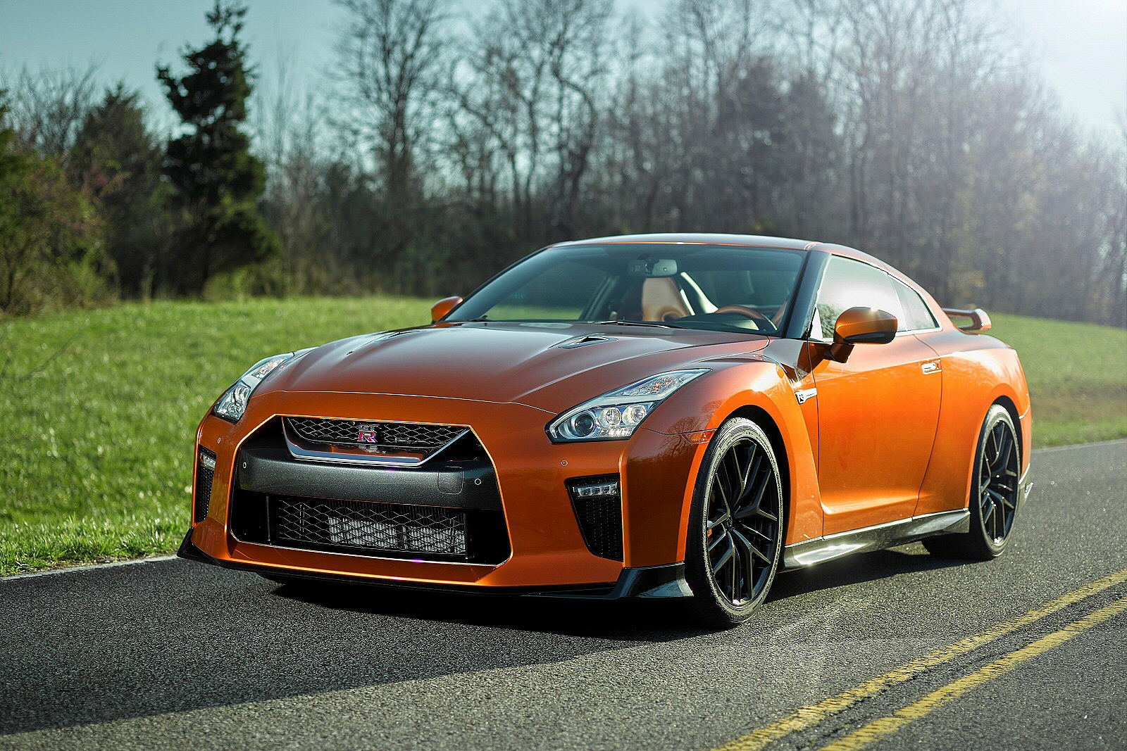 Used Nissan GT-R (2009 - 2020) + Guide - Image 1