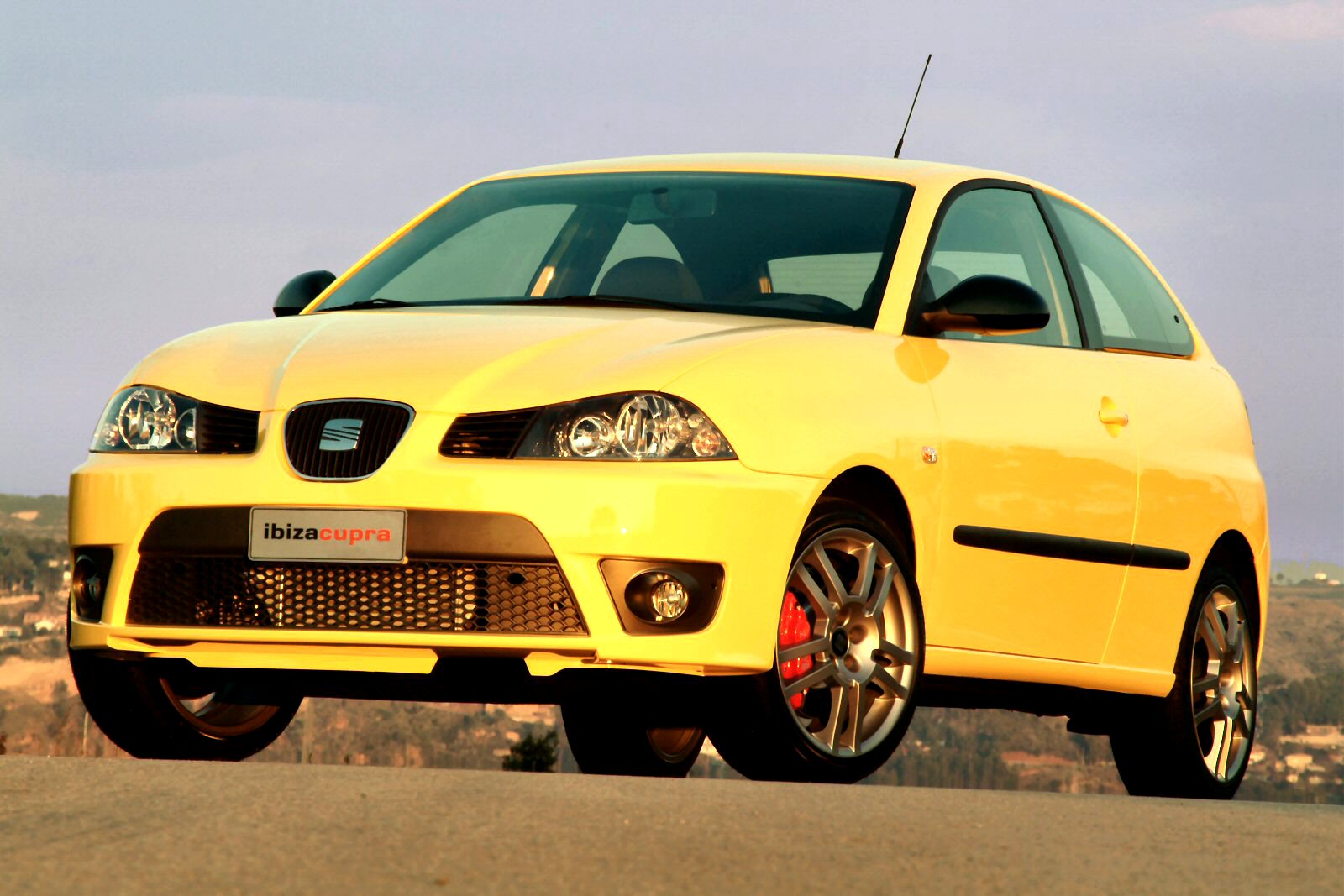 Used SEAT Ibiza Cupra (2004 - 2008) + Guide - Image 1