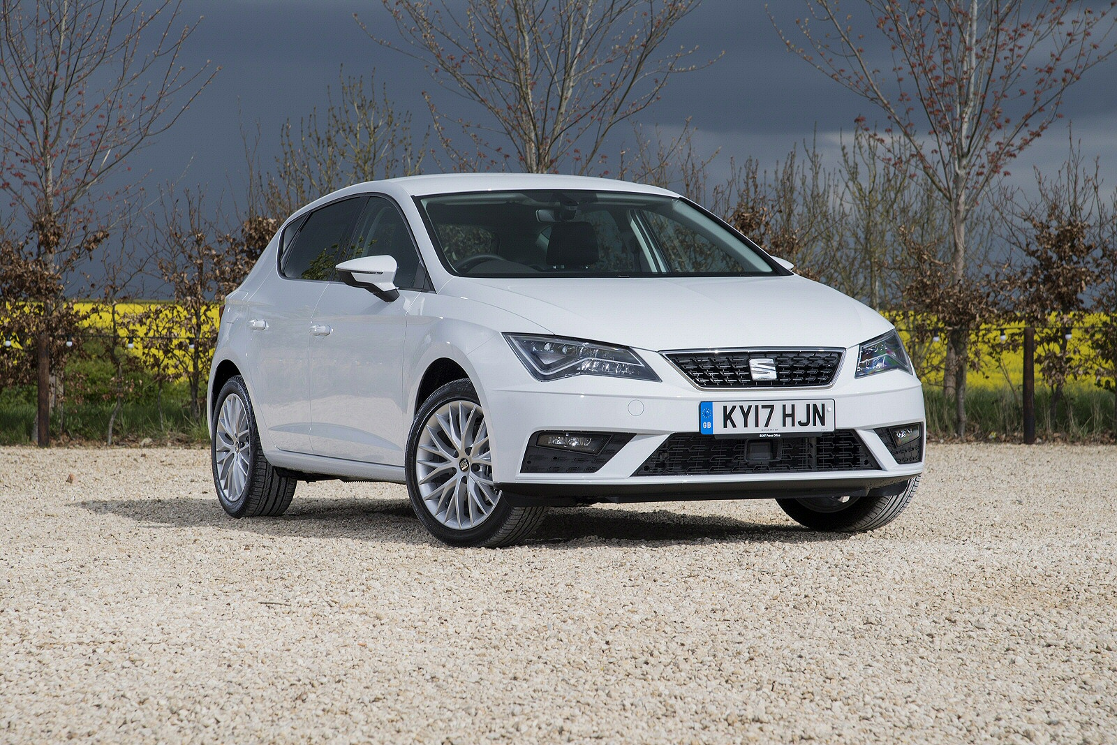 Used SEAT Leon (2017 - 2020) + Guide - Image 1