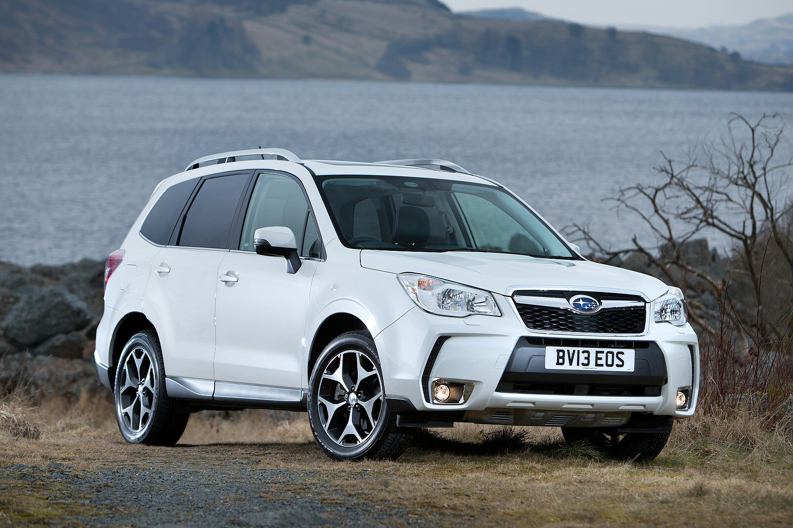 Used Subaru Forester (2013 - 2015) + Guide - Image 1