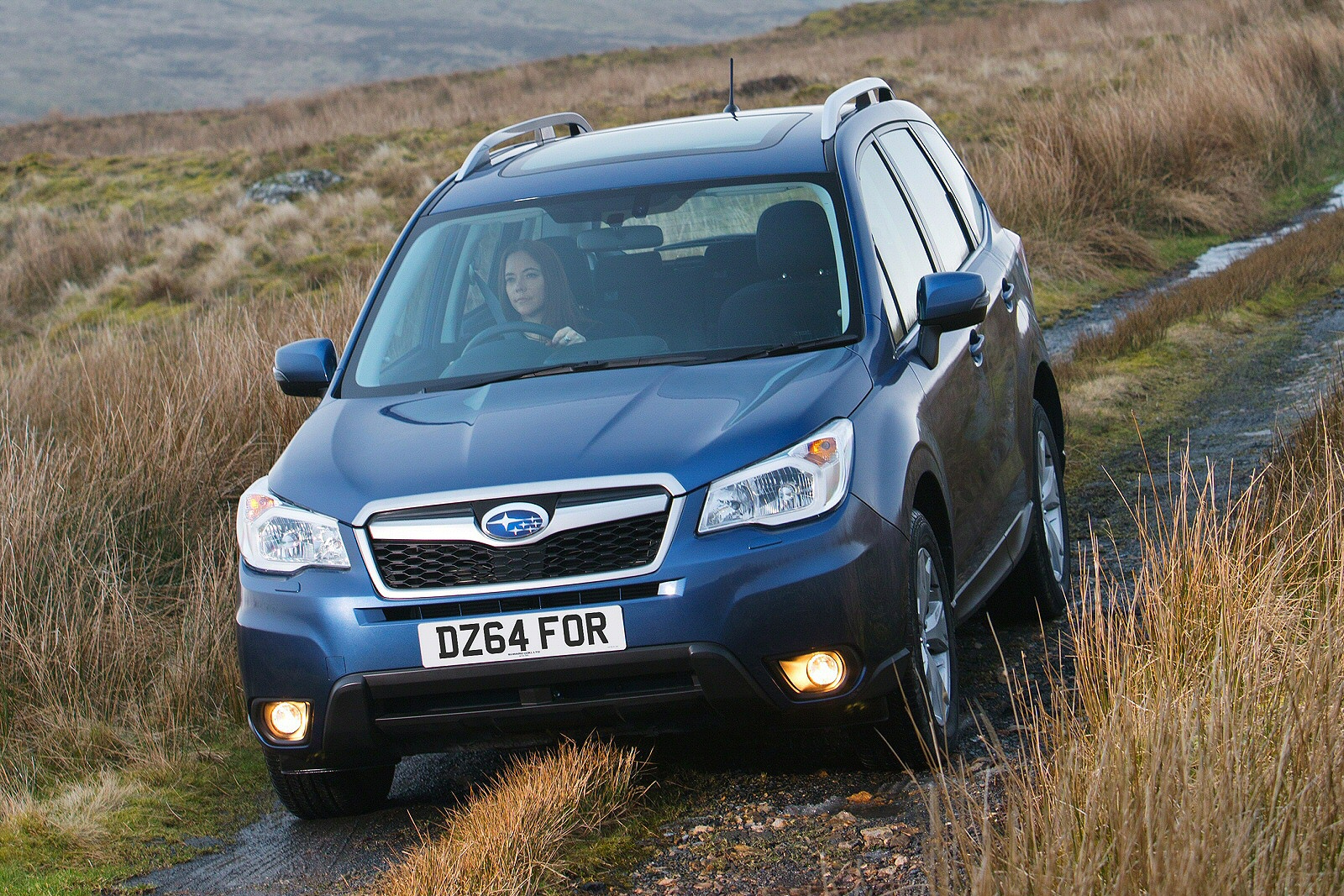 Used Subaru Forester (2015 - 2016) + Guide - Image 1