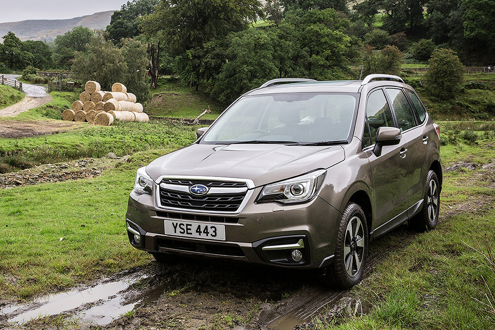 Used Subaru Forester (2017 - 2019) + Guide - Image 1