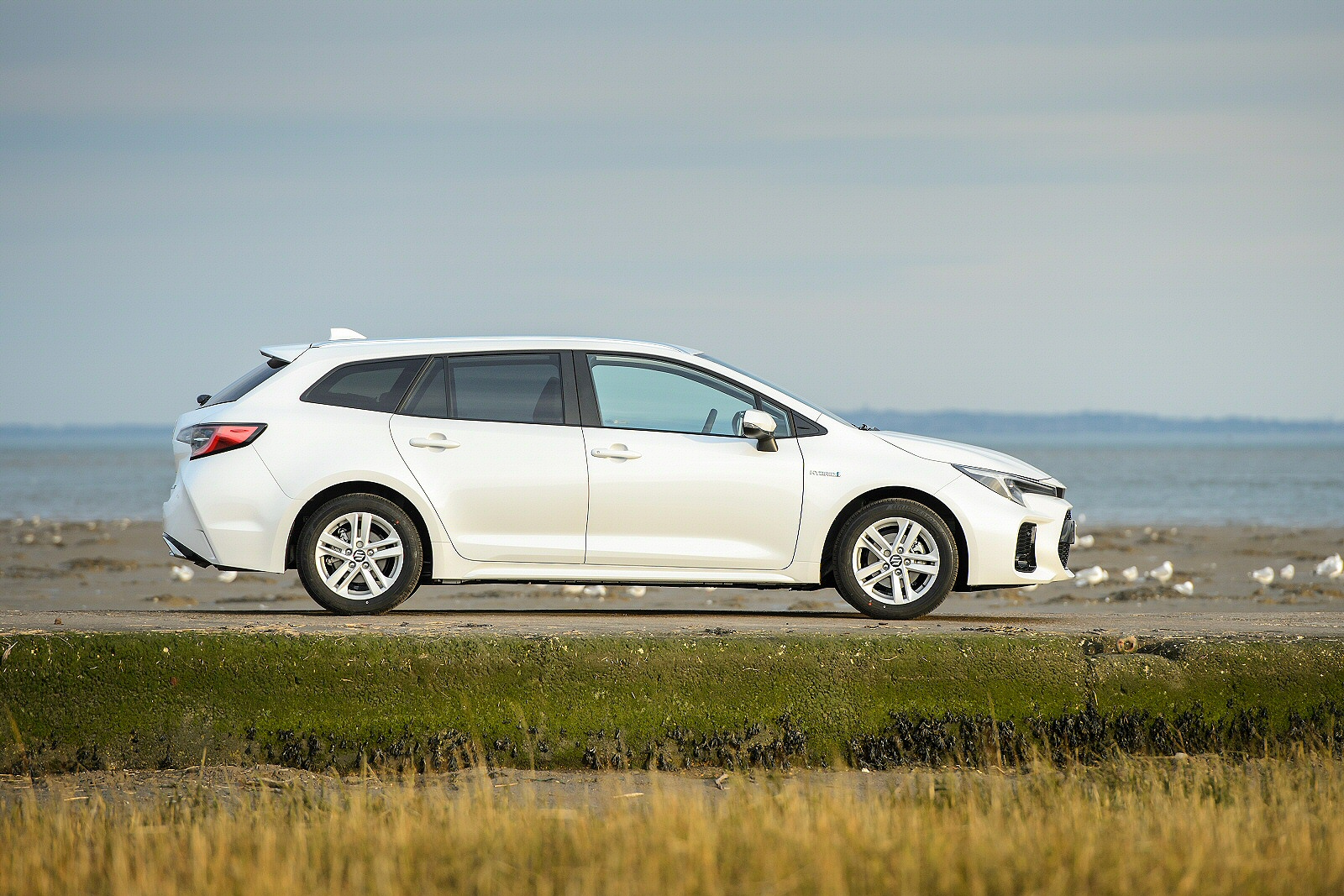 Used Suzuki Swace (2023 - 2024) + Guide - Image 1