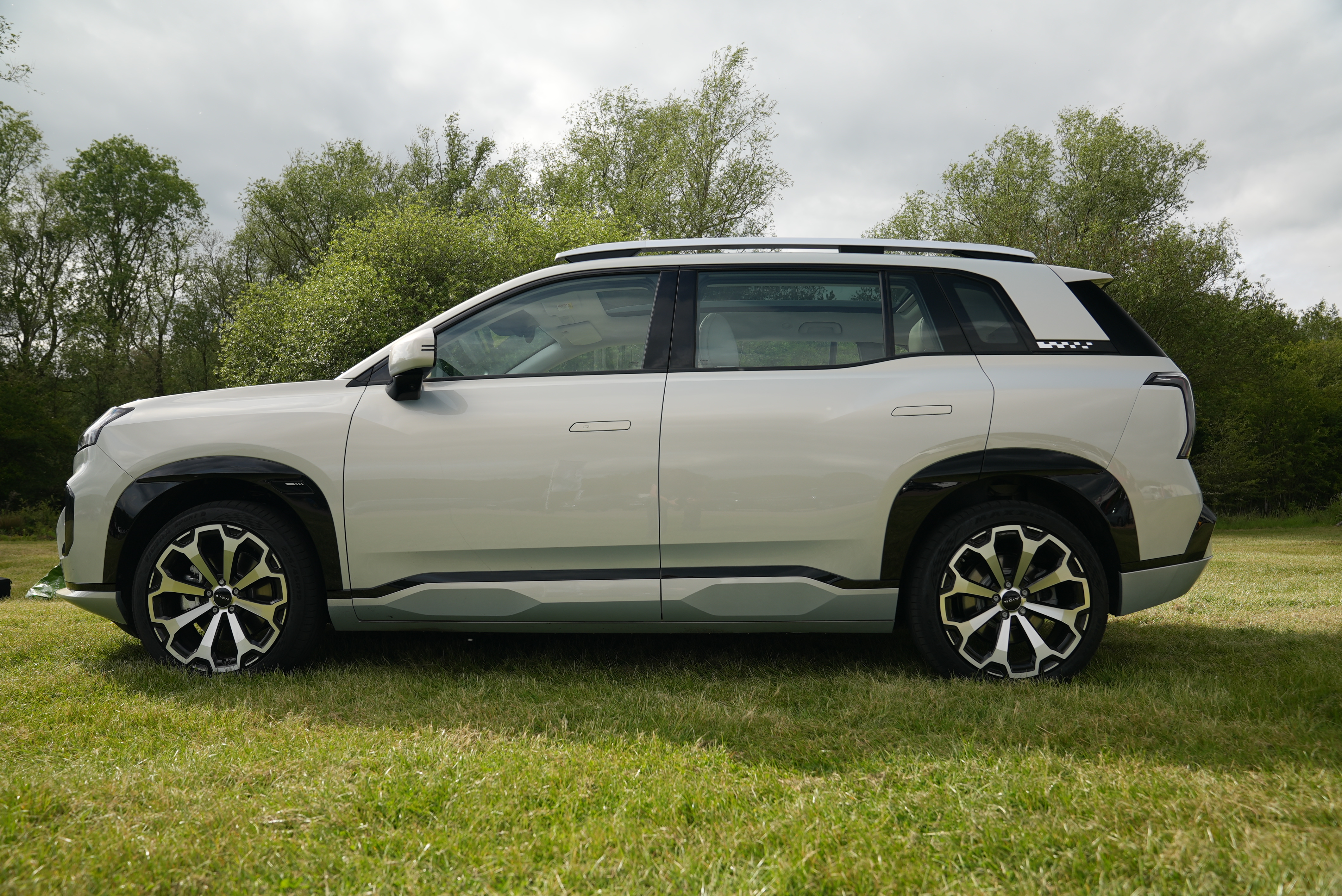 AION Electric Lease