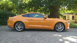 FORD MUSTANG FASTBACK SPECIAL EDITIONS 5.0 V8 55 Edition 2dr Auto